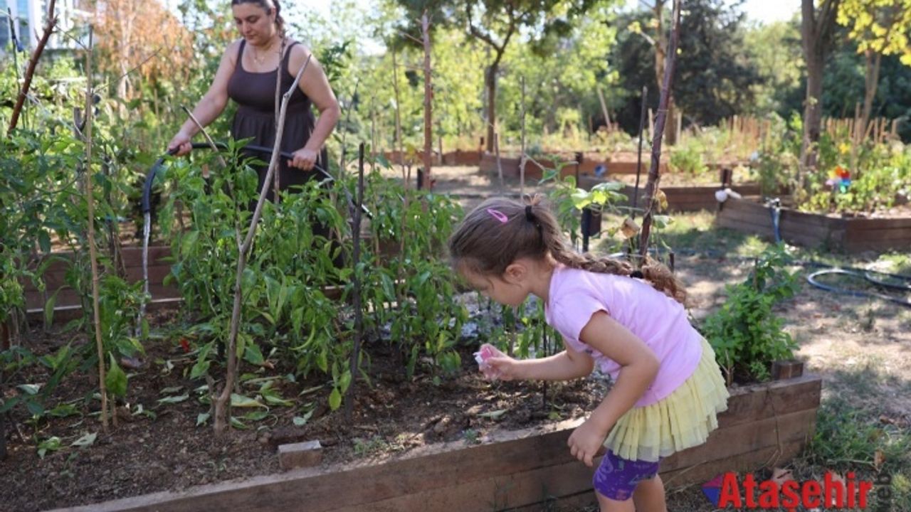 ATAŞEHİR BELEDİYESİ’NİN KENT BOSTANLARI İÇİN YENİ DÖNEM BAŞVURULARI BAŞLIYOR
