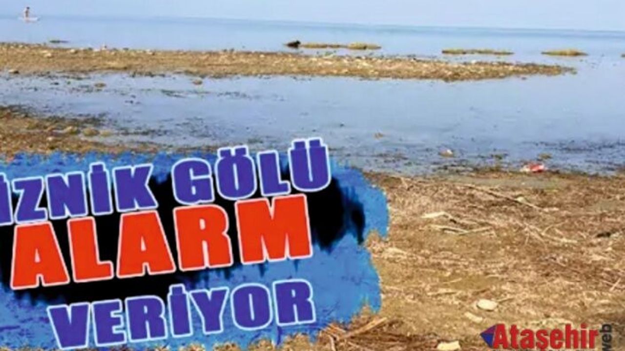 İznik Gölü adeta bir yardım çığlığı atıyor. 