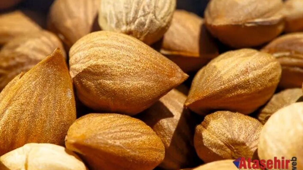 Kayısı çekirdeği hem şifa hem zehir olabilir!