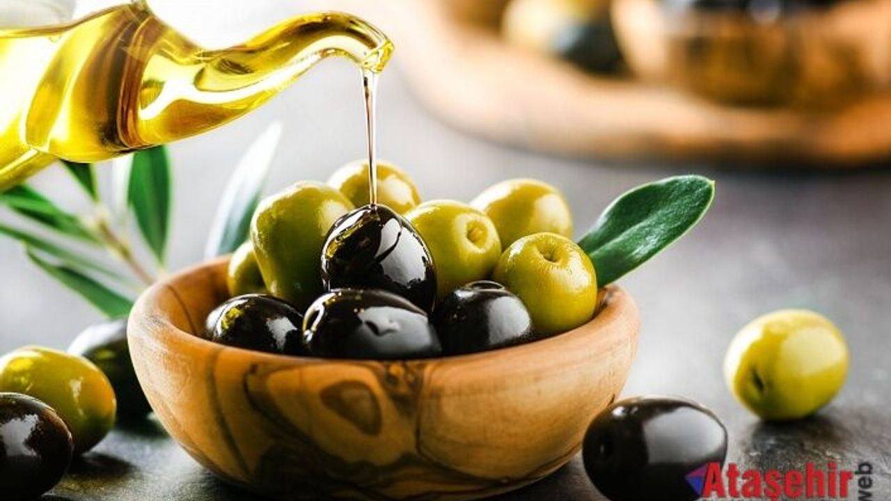 Türk zeytin ve zeytinyağı sektörü Kanada’yı radarına aldı