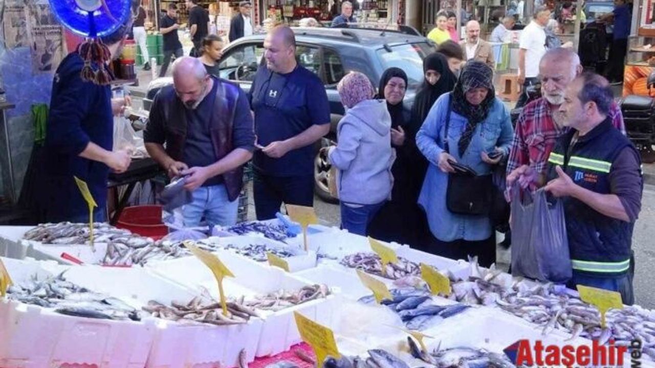 Karadeniz’in Bereketi Tezgahlarda: Hamsi Sofraları Şenlendiriyor