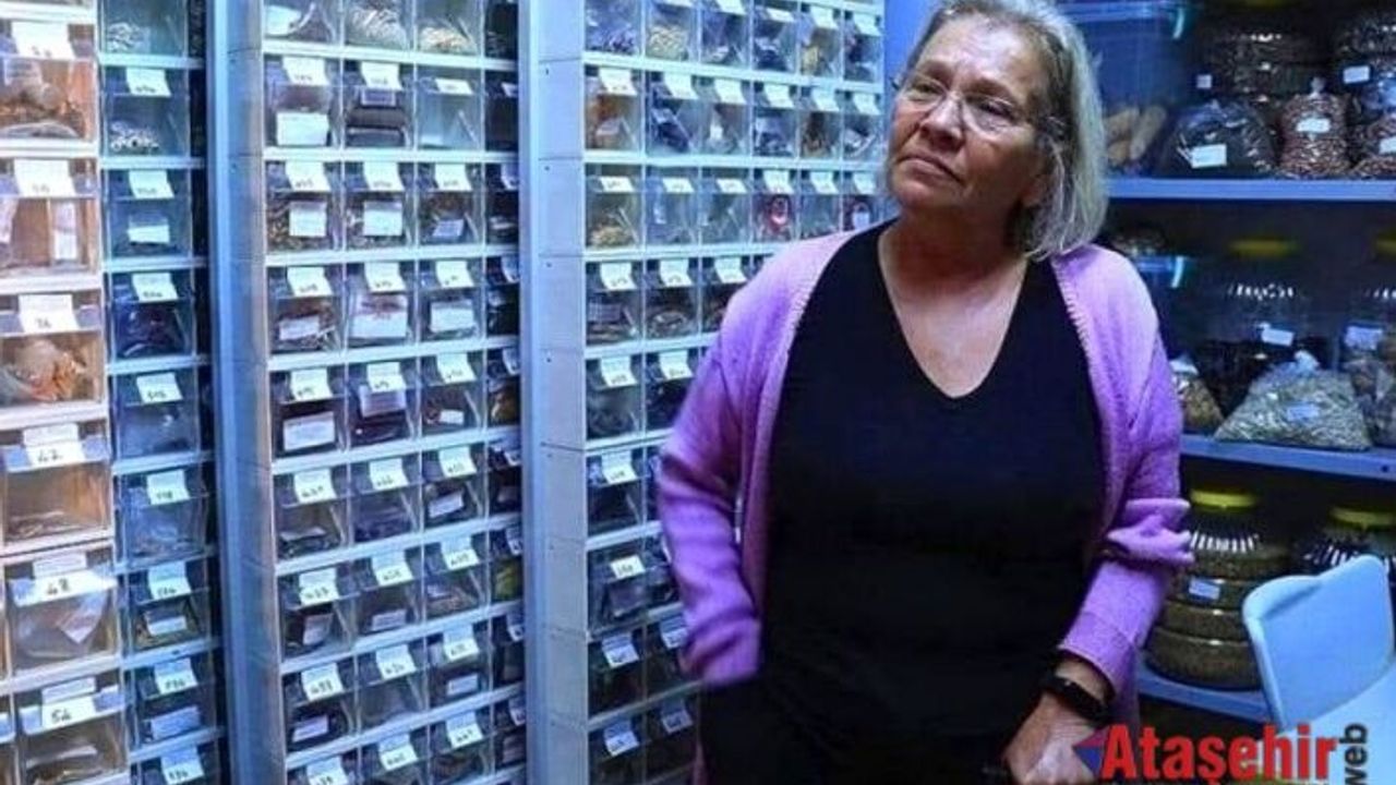 Nar Anne 60 yılda 1200 ata tohum topladı
