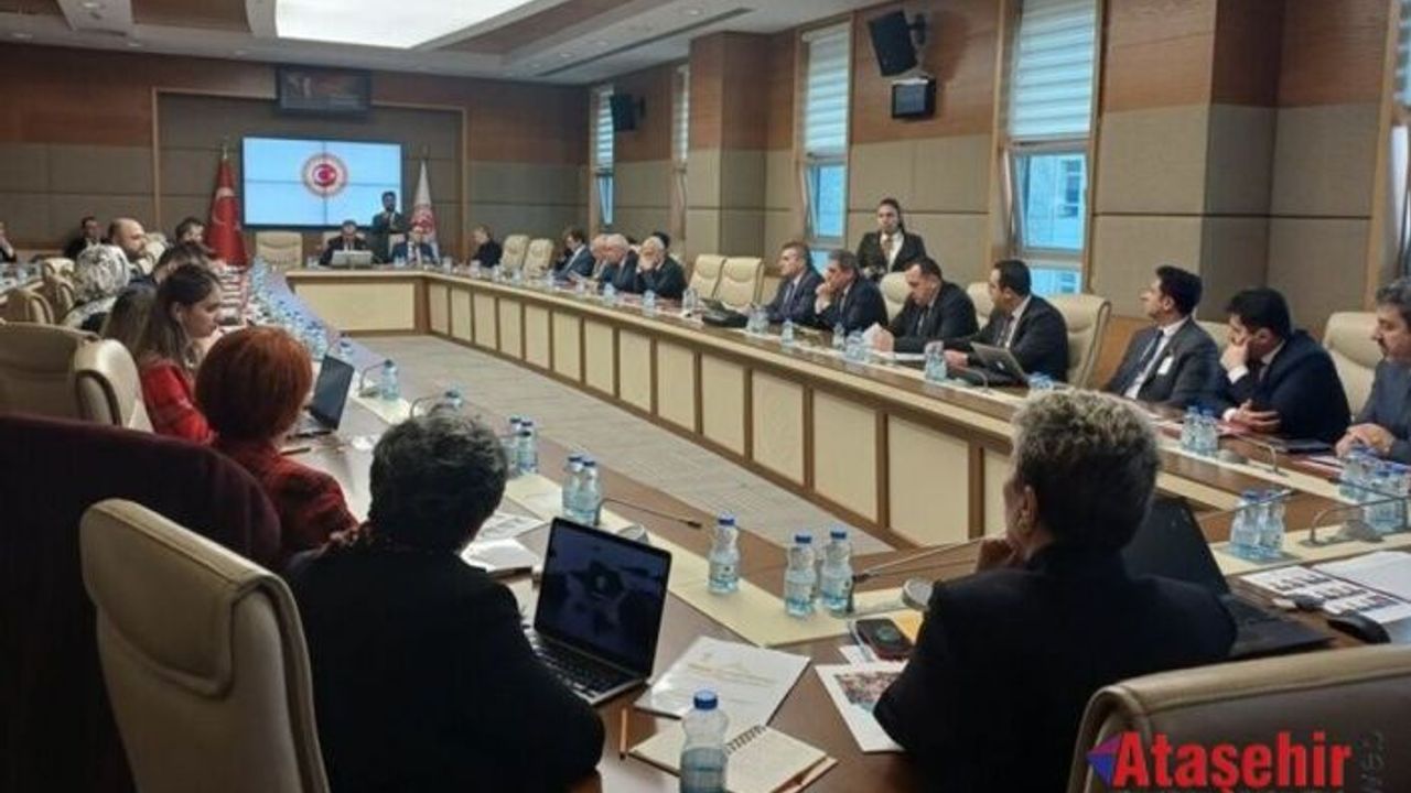 “33 Çocuktan 1’i Otizm Tanısı Alıyor”