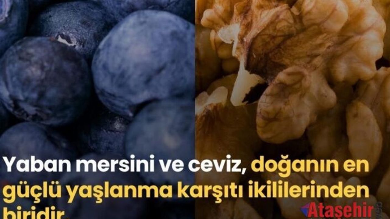 Doğanın Güçlü İkilisi: Yaban Mersini ve Ceviz