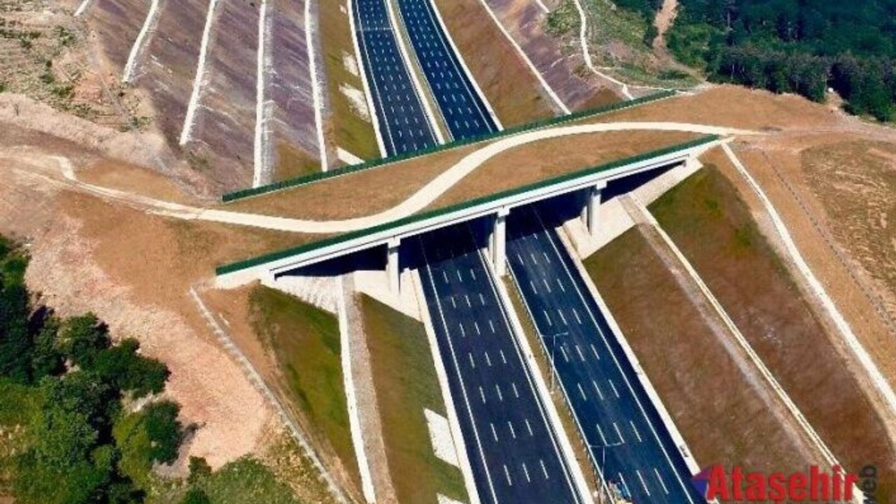 Kuzey Marmara Otoyolu ve Ekolojik Köprüler