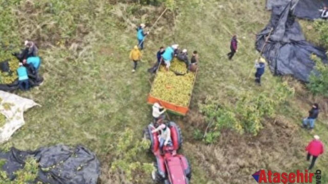 Mimar Baba ve Mühendis Kızı, Çorak Araziden 20 Ülkeye İhracata Ulaştı