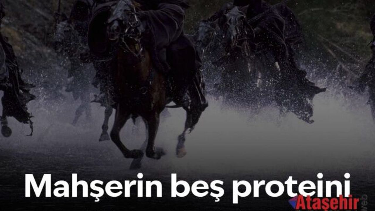  Ölüm Riskini Gösteren Beş Kan Proteini