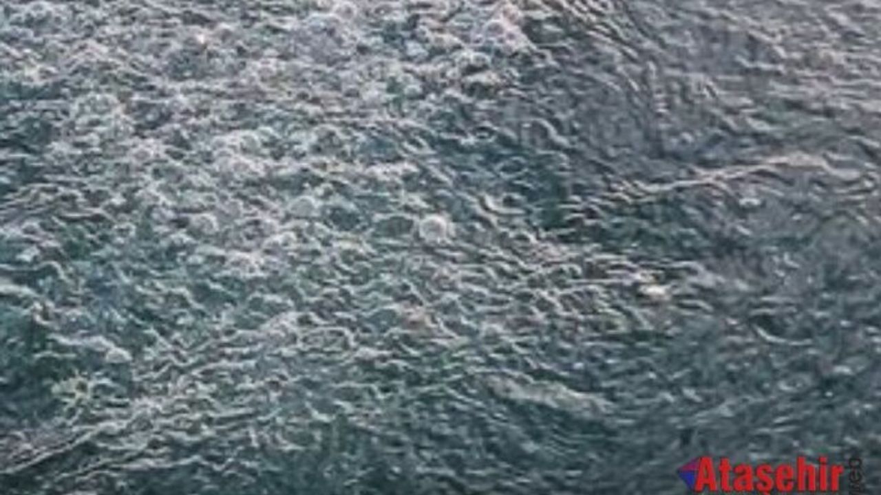 Sapanca Gölü’ndeki Kabarcıklara Bilimden Net Açıklama 