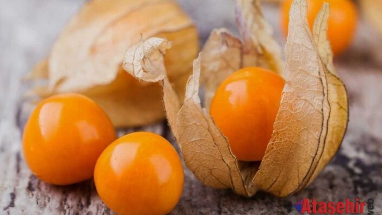 Altın Çilek: Sağlık Hazinesi Raflarda Yerini Alıyor