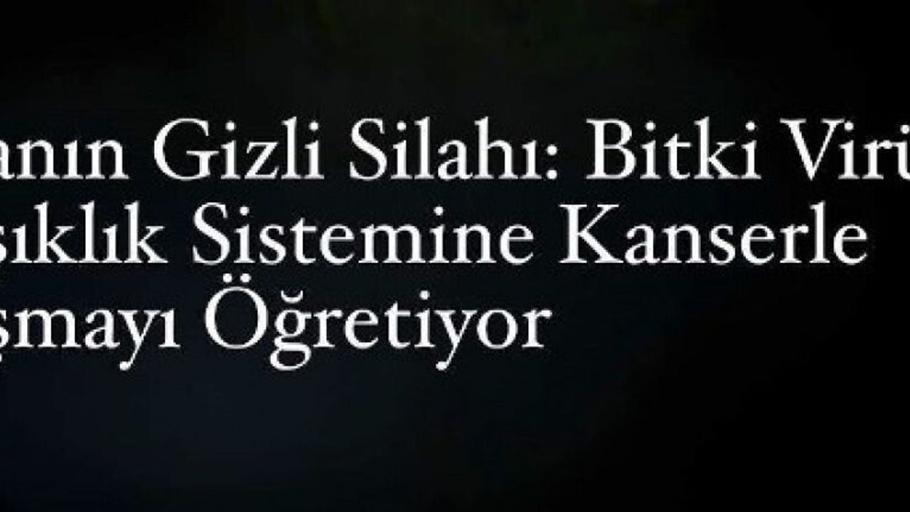 Bir Bitki Virüsü Kansere Karşı “Keskin Nişancı” Olabilir mi?