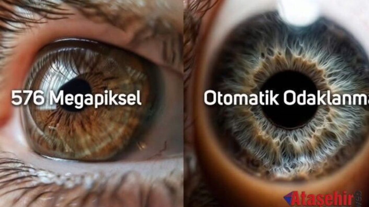 İnsan Gözü: Doğanın En Gelişmiş Kamerası