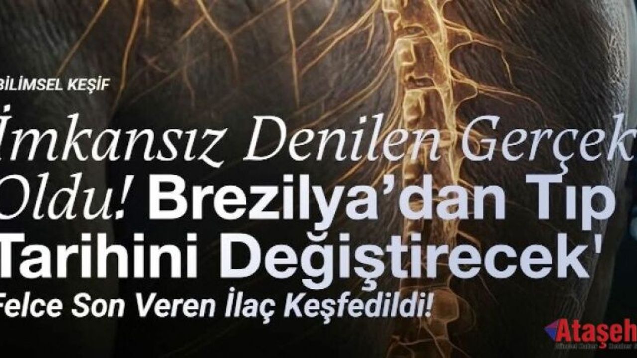 Omurilik Tedavisinde Çığır Açan Buluş: Brezilya’dan Dünyaya Umut