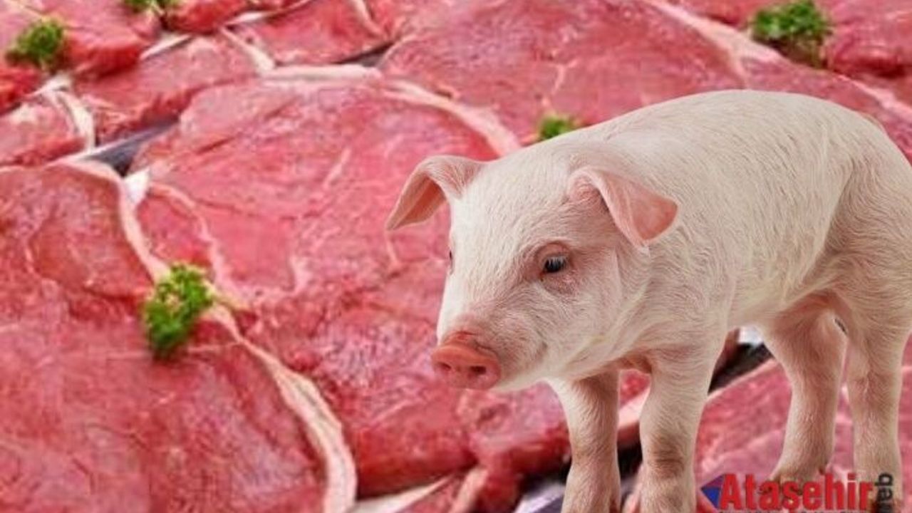 Türkiye’de Domuz Eti Satışının En Yoğun Olduğu İller Açıklandı: Balıkesir 5. Sırada
