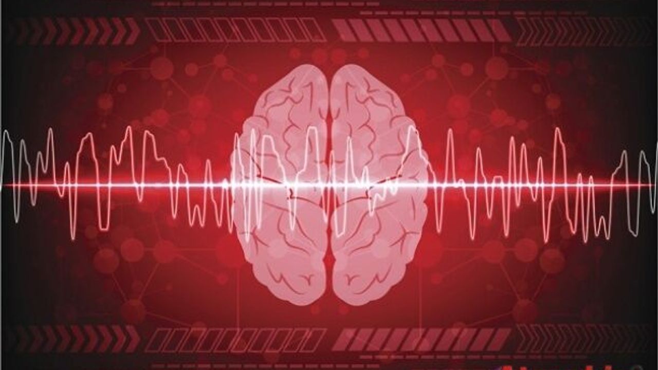 Ölüm anında beyin aktivitesi ilk kez görüntülendi: