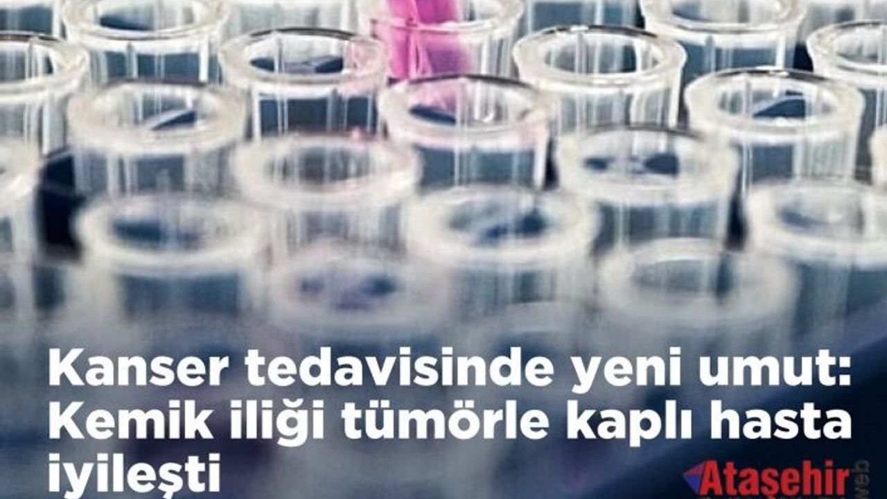  QUILT-106: Doğal Katil Hücrelerle Kanser Tedavisinde Yeni Umut