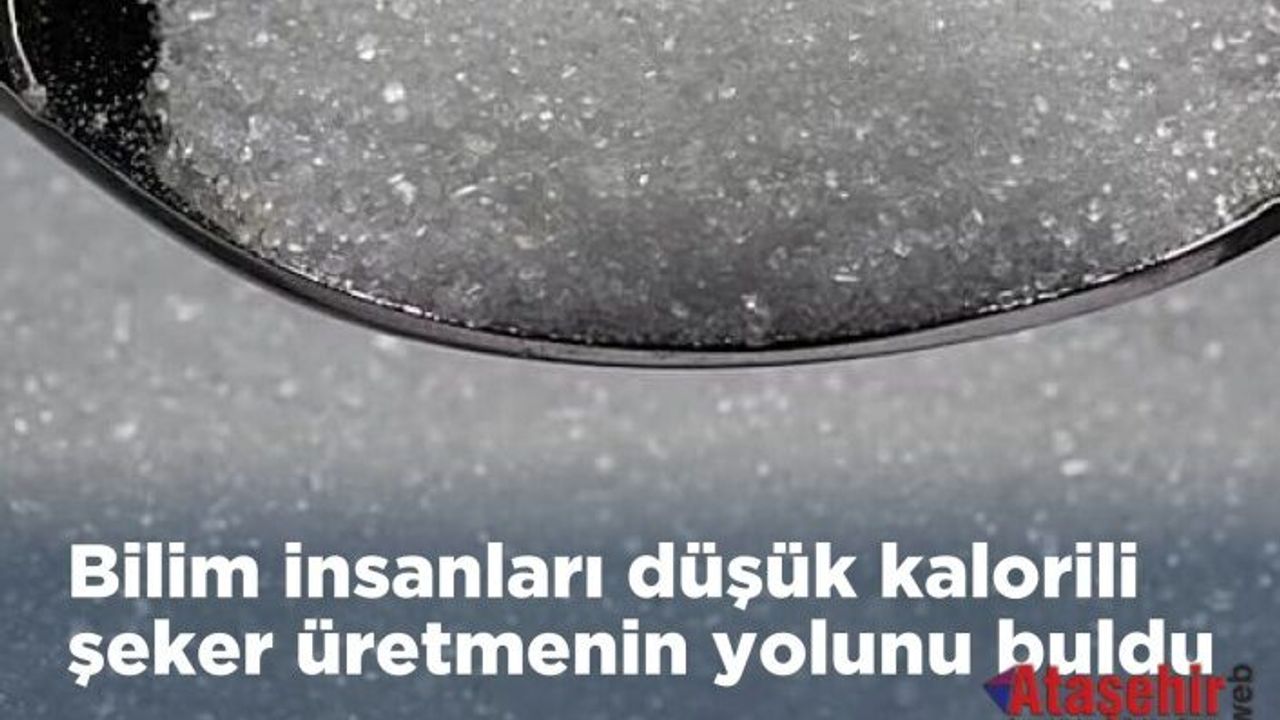 Yeni Araştırma: Doğal Şeker Tagatoz ile Daha Az Kalori, Aynı Tatlılık