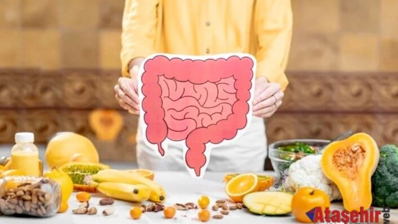 Bağışıklık, Metabolizma Ve Bağırsak Sağlığını Birlikte Destekleyen Çözüm