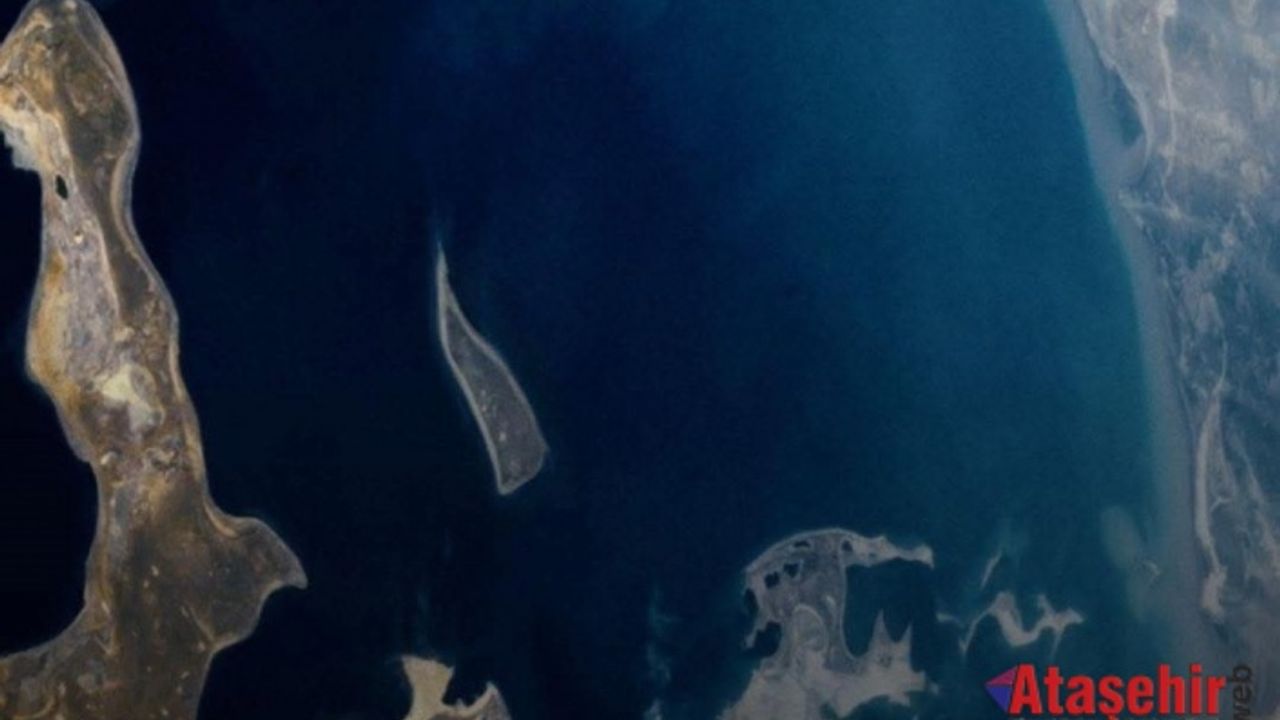 Doğa Geri Dönüyor: Aral Gölü’nde Mucizevi Canlanma!