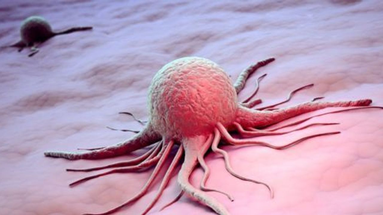 Bilim adamları kanser hücrelerine ulaştırılacak ilaç geliştirdi