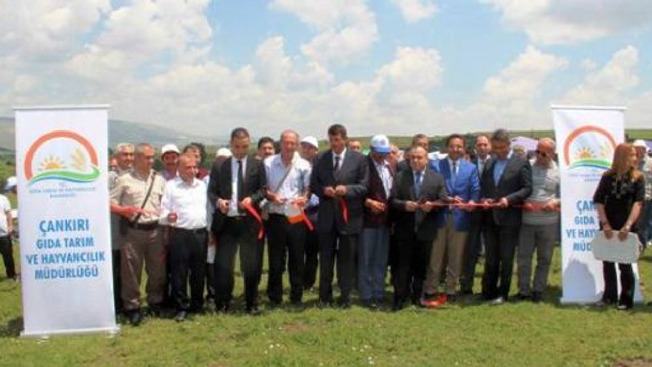 Çerkeş Dikenli Köyü Mera Islah Projesi Açılış Töreni