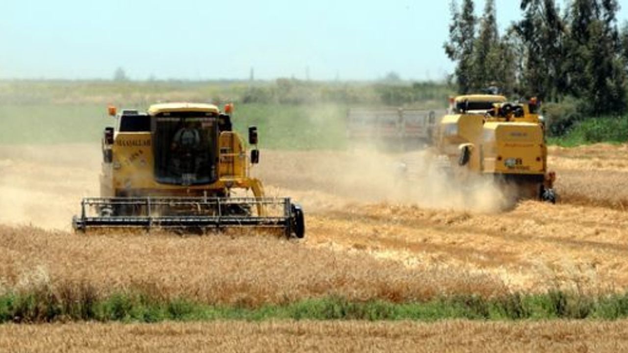 Kırım’da Rusya vatadaşı olamayanlar tarlalarını satmak zorunda kalacak
