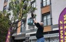 Şehrin Göbeğinde Arı İstilası Değil, "Misafirliği"