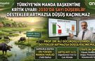 Türkiye'nin Manda Başkentine Kritik Uyarı: 2030 Yılında Büyük Tehlike!