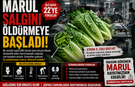 MARUL SALGINI  ÖLDÜRMEYE BAŞLADI