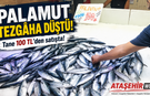 Palamut Tezgâha Düştü!