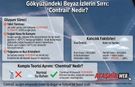 Gökyüzündeki Beyaz İzlerin Sırrı: "Contrail" Nedir?