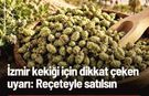 İzmir Kekiği İçin Dikkat Çeken Çağrı: "Reçeteyle Satılsın"