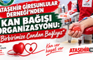 Ataşehir Giresunlular Derneği’nden Kan Bağışı Organizasyonu
