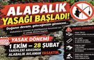 Doğal Alabalık Avı Yasak Dönemi Başladı: "Yasağa Uy, Doğayı Koru!"