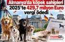 Almanya'da köpek sahipleri 2025’te 429,7 milyon Euro vergi ödedi