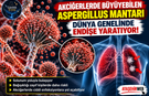 Akciğerlerde Büyüyebilen Aspergillus Mantarı Dünya Genelinde Endişe Yaratıyor!