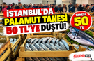 İstanbul’da Palamut Tanesi 50 TL’ye Düştü!