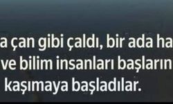 Dünya Bir Zil Gibi Çaldı: Mayotte’de Gizemli Uğultunun Ardındaki Dev Patlama