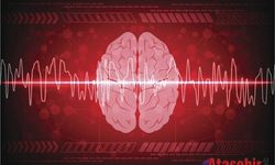 Ölüm anında beyin aktivitesi ilk kez görüntülendi: