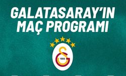 Aslan'ın Mart Ayı "Final" Tadında: 3 Kulvarda Kritik 1 Ay!