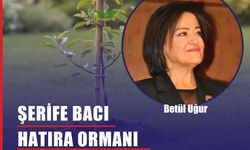 Şehide Şerife Bacı Hatıra Ormanı Çanakkale’de Yeşeriyor