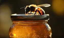 SADECE BİR ÇAY KAŞIĞI BAL İÇİN 8 ÖMÜR!