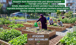 Ataşehir’de Kent Bostanları Yeşeriyor!