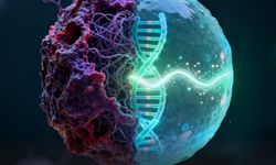 Kanserde "Geri Dönüşüm" Dönemi: Hücreler Sağlıklı Formuna Dönüştürüldü