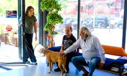 Ataşehir Veteriner Hizmetlerinde Güvenin ve 7/24 Kesintisiz Sağlık Hizmetinin Adresi: Metropol Veteriner Kliniği