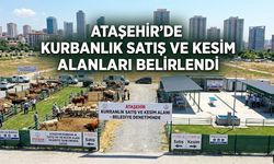 ATAŞEHİR’DE KURBANLIK SATIŞ VE KESİM ALANLARI BELİRLENDİ