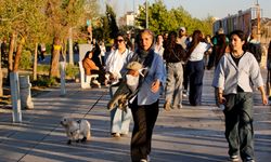 Tahran Sokaklarında Savaş Değil Huzur Aranıyor