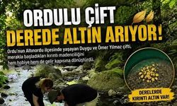 Derelerinde "Altın" Çılgınlığı