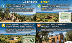 Zeytinlik Tapulu Araziye Ev Yapılır mı