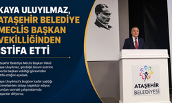 Kaya Uluyılmaz Meclis Başkan Vekilliğinden İstifa Etti!