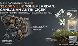 Sibirya’da 32 Bin Yıllık Donmuş Tohumlar Yeniden Canlandırıldı!